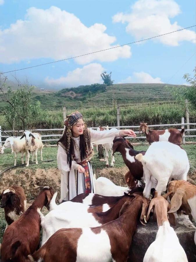 O Chau Homestay Лаокай Экстерьер фото