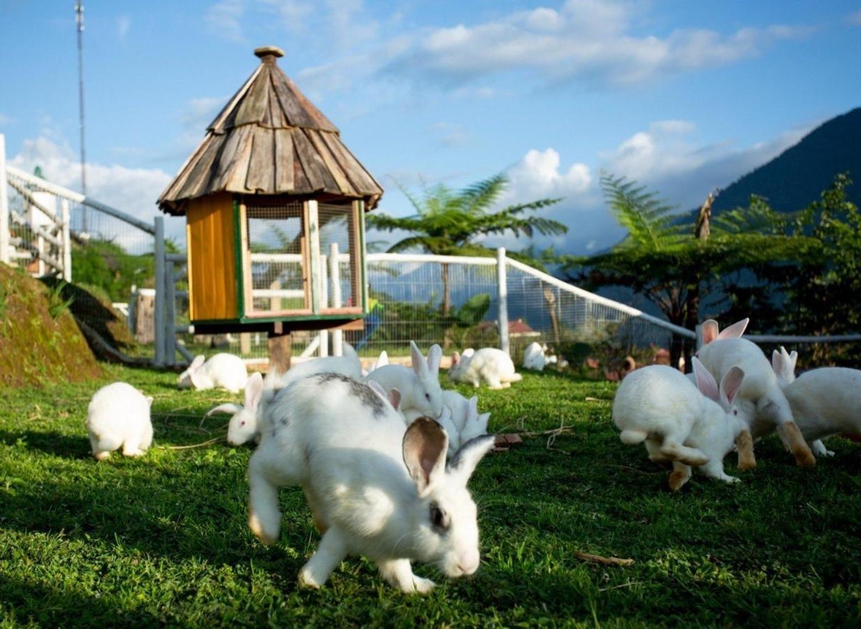 O Chau Homestay Лаокай Экстерьер фото