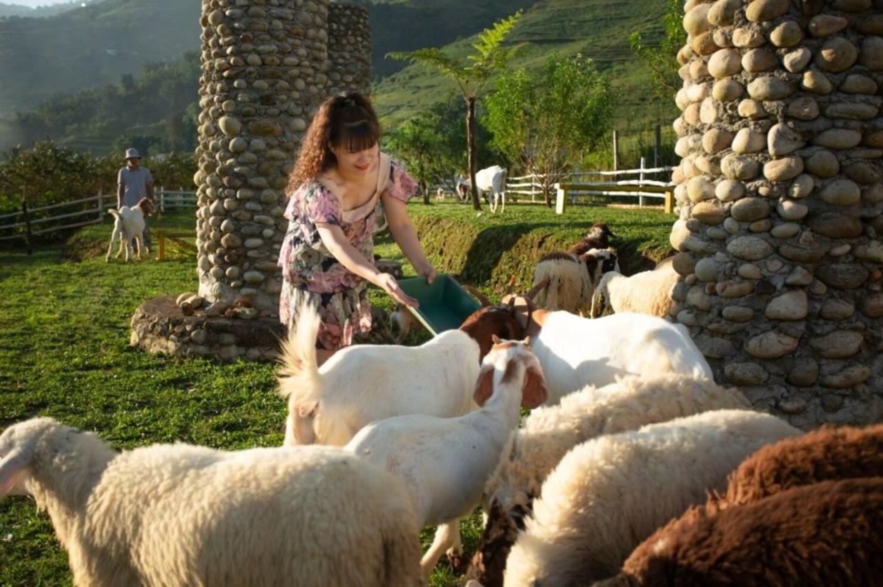 O Chau Homestay Лаокай Экстерьер фото